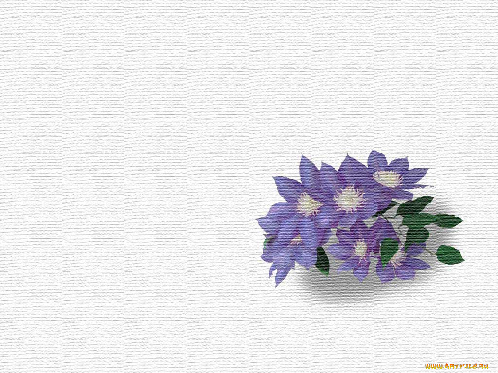 , 